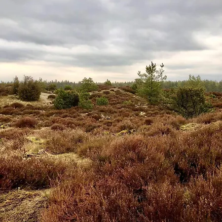 5 Person In Grindsted *