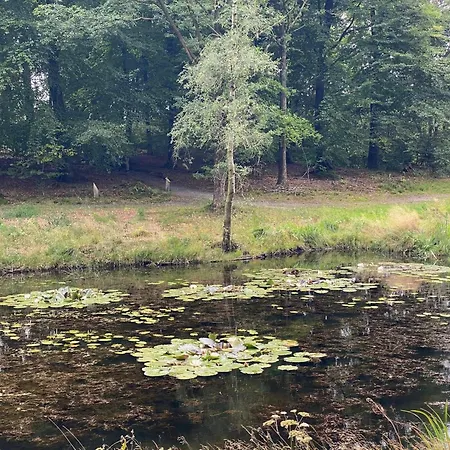 5 Person In Grindsted *